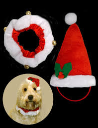 Check spelling or type a new query. Christmas Santa Xmas Pet Cat Or Dog Christmas Hat Collar Set Bargain Wholesalers