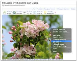 It may appear differently on other platforms. Top Hat Authoring Step By Step Guide To Finding And Citing Creative Commons Images
