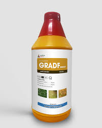 Gradf 200WP
