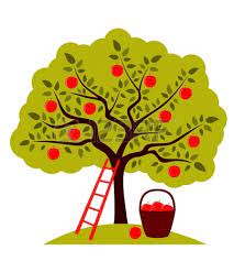 How to draw an apple tree step by step 4. Drawing Realistic Apple Tree Drawing With Color