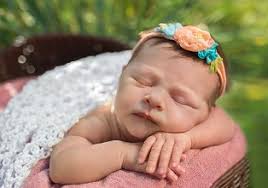 sleeping baby in wicker basket surrounded by pink flowers by Jackie Selby.  Photo stock