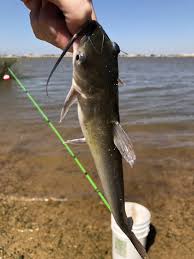 Descriptionkirby lake near abilene, texas.jpg. Kirby Lake Tx Fishing Reports Map Hot Spots