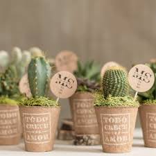 Solo tienes que añadir más agua si ves que la capa superficial de tierra está totalmente seca. Cactus Para Bodas El Regalo Mas Original Para Tus Invitados