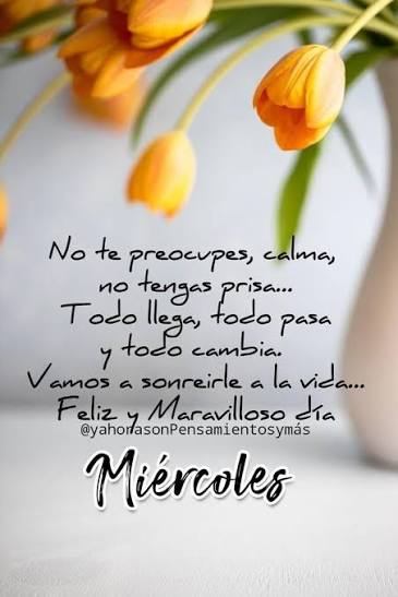 Miércoles Pinterest 2024