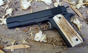 Image result for Wheat Beige 1991 Colt