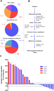 Andrea lee lewis ramirez, 51, of naugatuck, passed away wednesday, june 9, 2021, at yale new haven hospital. Secondary Resistance To Anti Egfr Therapy By Transcriptional Reprogramming In Patient Derived Colorectal Cancer Models Springerlink