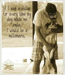 Instagram captions for animals & pets with images. 40 Cute And Funny Animal Quotes