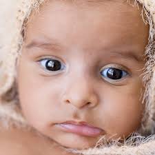 feedback and comments of Salt studio clients