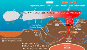 There is growing interest in the mineral deposits of the deep sea. Hydrothermal Vent Wikipedia