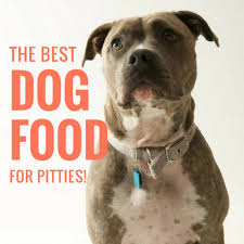 Despite the poor stereotypes that sometimes surround them. 3 Best Dog Foods For Pit Bulls A Guide To Pittie Nutrition