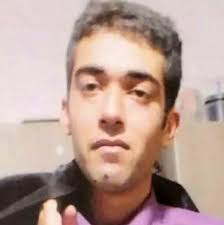 Who are the hostages freed during the Israel-Hamas conflict?