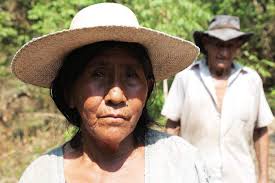 Ranking Soy Traders' Performance