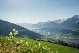 The most comprehensive image search on the web. Bilder Logo Download Silberregion Karwendel