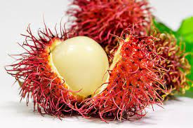 Maybe you would like to learn more about one of these? Exotische Fruchte Zimtapfel Curuba Co Gesund Co At