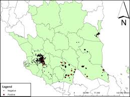 6,437 new cases and 107 new deaths in malaysia  source updates. Emergence Of Chikungunya Seropositivity In Healthy Malaysian Adults Residing In Outbreak Free Locations Chikungunya Seroprevalence Results From The Malaysian Cohort Bmc Infectious Diseases Full Text