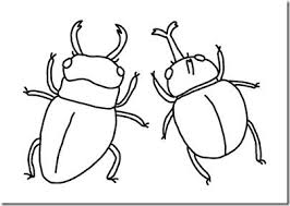 カブトムシとクワガタムシ うちわ デザイン クワガタムシ 絵描きチャレンジ