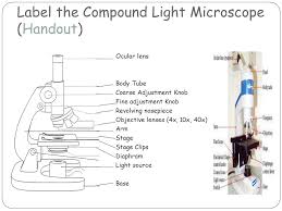 Maybe you would like to learn more about one of these? Parts Of A Microscope Microscope Basics Label The Compound Light Microscope Handout Ocular Lens Body Tube Coarse Adjustment Knob Fine Adjustment Knob Ppt Download