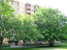 Günstig in berlin auf zeit wohnen. Gunstige Wohnung Gross Kienitz Mieten Wohnungen Bis 400 Eur Bei Immonet De