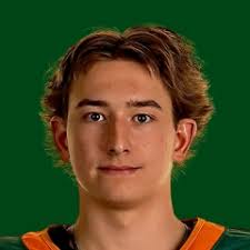 Austin Bruce Stats and Player Profile