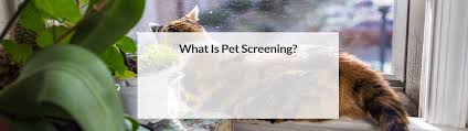 This product features a durable, tough mesh. Pet Screening For Patios Decks Pool Enclosures Doors And Windows
