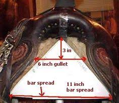 27 Best Saddle Fit Western Saddles Images Saddles Horse