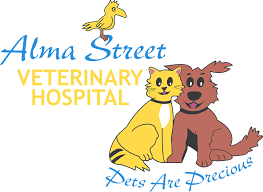 It is very important that you sign up for a medical insurance plan and policy for your pet, so that you are best able to pay for their care whenever possible. Expert Friendly Affordable Pet Care For Rockhampton Pet Owners