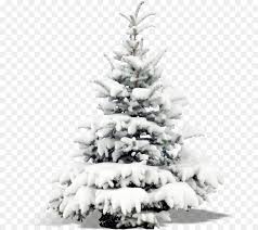 Christmas tree png illustrations & vectors. Christmas Lights Drawing