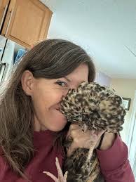 How to trim head feathers of polish chickens?