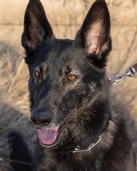 Alana Cunningham (@alanarosephotography) • Instagram photos and videos