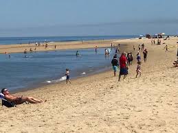 Low Tide Swimmers In The Tidal Pool Picture Of Head Of