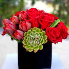 Maybe you would like to learn more about one of these? Send Succulents Santa Clarita Ca Flower Delivery Bloomnation