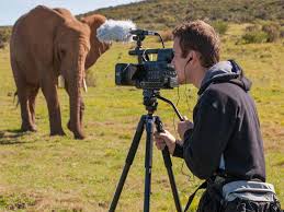 Watch the best documentaries from around the world for free. Basic Tips To Produce A Wildlife Documentary Without Filming Experience