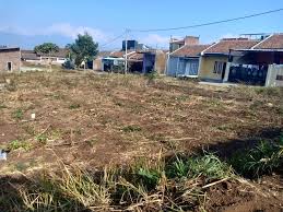 Situs iklan properti gratis cara jual tanah harga rumah termurah situs jual beli rumah terbaik 2016 situs rumah dijual tempat jual properti membeli rumah iklan rumah online kpr rumah murah jual tanah citra gran cibubur jual beli perumahan situs untuk menjual rumah sewa rumah citra gran cibubur kavling tanah daftar rumah bekas murah rumah. Jual Beli Tanah Dan Rumah Di Garut Home Facebook