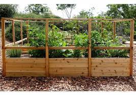 Easy diy raised garden box designs. Garden Deer Fence Raised Garden Bed Outdoor Living Today