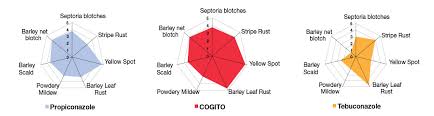 Cogito Syngenta