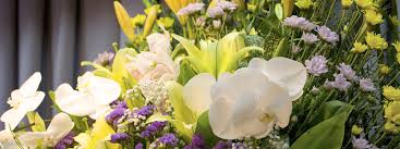 We did not find results for: Funeral Flowers Florist Kennett Square Sympathy Flowers Casket Sprays
