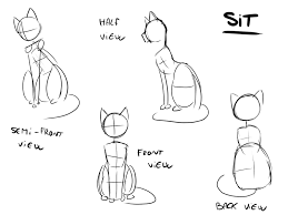 Draw an outline of the head and body. Tutorial How To Draw A Cat Sit Position By Niutellat On Deviantart