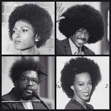 L Evolution De La Coiffure Afro Black Queen Afro Queen