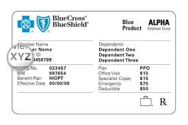 Subscriber Number On Aetna Insurance Card