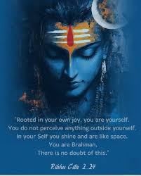 We are so engrossed with the objects or appearances revealed by the light  that we pay no attention to the light. The thing to do is to concentrate
