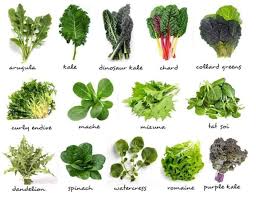 Top 15 Healthy Foods for your Body