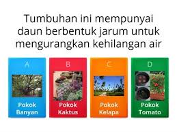 Blog ini menyediakan bahan pembelajaran seperti nota (peta minda), latihan, video dan koswer rujukan para pelajar tahun 5 dan juga untuk rujukan pelajar yang. Sains Tahun 5 Proses Hidup Haiwan Sumber Pengajaran