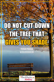 Tree trunks quotations to inspire your inner self: Best Quotes Today Do Not Cut Down The Tree That Gives You Shade Persian Proverb