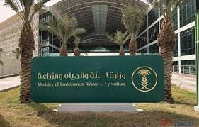 أخبار 24 بالأسماء وزارة البيئة تدعو الدفعة الأولى من المتقدمين على وظائفها للمطابقة