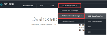 Do you want the money deposited into your bank account or paypal? How To Make A Gemini Withdrawal In Cryptocurrency And Cash By Blockchain Dk Medium