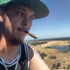 What is the name of this plant?