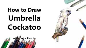 Facebook youtube pin interest instagram toggle navigation drawingtutorials101.com. Drawingtutorials101 Com