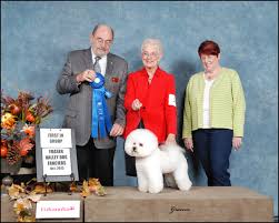 Canuck Dogs: Your source for Canadian dog event information online.