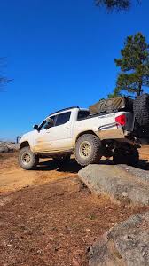 Image result for Light Rose 1994 Truck