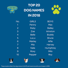 Find the best pet insurance of 2021 for your furry co. Top 20 Dogs Names For 2018